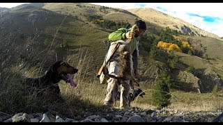 CACCIA ALLA LEPRE IN MONTAGNA  Ep 22 Seguita devastante con lepre presa dai cani [upl. by Attenohs632]