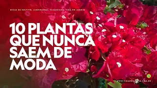 10 PLANTAS que NÃO SAEM DE MODA [upl. by Ellierim]