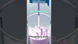 phosphoric acid with litmus solution shortsfeed practical viral chemistry neet jee [upl. by Deadman]