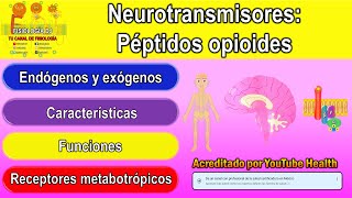 Neurotransmisores  Sistema nervioso central  Péptidos opioides endorfinas encefalinas y mas [upl. by Ennovehs]