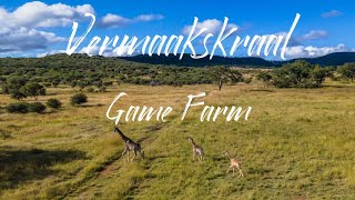 Vermaakskraal Game Farm  by Drone  4K [upl. by Eenahs]