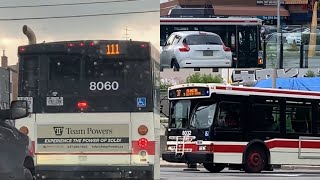 TTC OG Diesels Buses In Action 8097 8060  Retired 8032 Retired 6222024 [upl. by Vedi]