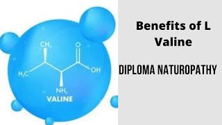 Benefits of LValine [upl. by Ahsaeyt]