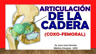 🥇 ARTICULACIÓN DE LA CADERA Coxofemoral Fácil Rápida y Sencilla [upl. by Affrica]