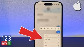 How to Unsend a Message on iPhone [upl. by Naillig586]