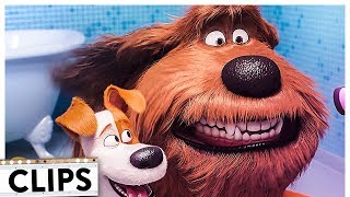 The Secret Life of Pets 2  Wake Up  Deleted Scene  3DAnimationInternships [upl. by Leverick]