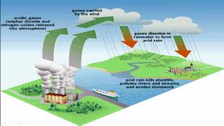 Sources of Energy Class 10 Complete Chapter [upl. by Champagne]