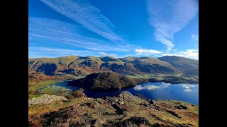 YOLO  RAISE STYBARROW DODD WATSONS DODD amp GREAT DODD [upl. by Accem63]