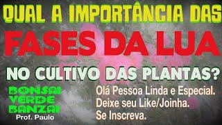 AS FASES DA LUA E SUA IMPORTÂNCIA PARA NOSSAS PLANTAS [upl. by Telracs163]