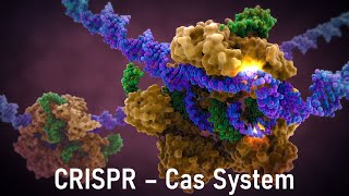 CRISPR Cas System  Technology Mechanism Applications and Trends in Clinical Diagnostics [upl. by Haimaj]