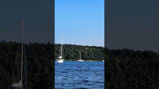 Segeln auf der Trave in Lübeck Travemünde shorts ostsee segeln segelboot lübeck [upl. by Henriques]