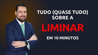 TUDO QUASE TUDO SOBRE A LIMINAR EM 10 MINUTOS [upl. by Eaves]