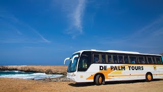 Island ours in Aruba by De Palm Tours [upl. by Emanuele]