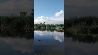 Recorrido en Chinampas de Tláhuac [upl. by Kev]