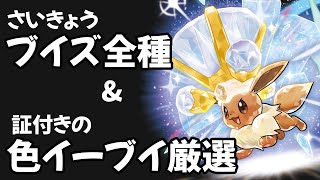 【ポケモンSV】全種のさいきょうブイズを揃える配信 その２ [upl. by Norrek]