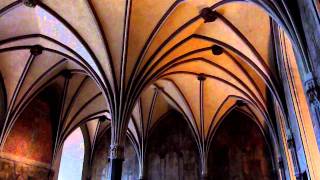 Malbork Castle [upl. by Rolandson]