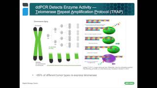 Using Droplet Digital™ PCR for Cancer and Liquid Biopsy Studies [upl. by Yelrebmik]