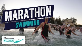 Marathon swimming through the open ocean Tips tricks and advice  South32 Rottnest Channel Swim [upl. by Annaynek]