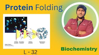 Protein folding by vikrant sir [upl. by Znieh]