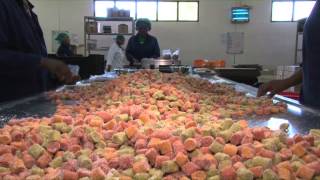 The dried fruit factory process [upl. by Mosira]