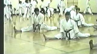 Zanshin Kai Glasgow Scotland Shotokan Karate exam [upl. by Lah]