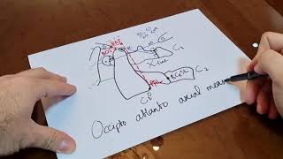 Occipitoatlantoaxial Measures  Dr Mahmoud Shoaib English Narration [upl. by Anilok]