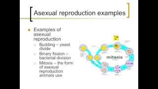 An introduction to cell reproduction [upl. by Rabi]