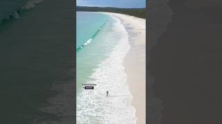 Summertime Hyams Beach Australia Most beautiful white sand beach sydney travel beach shorts nsw [upl. by Chester]