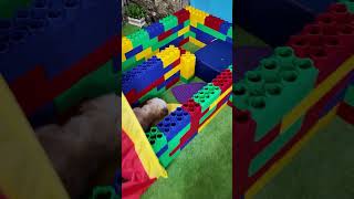 Wiggles Waggles and Waffles have a Dog Obstacle Course Race FamilyFun FunnyDogs ObstacleCourse [upl. by Ximena]