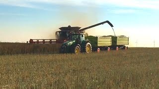 Rapsernte • Getreideernte • Harvest • 2019 • Claas Lexion • John Deere • HW 80 [upl. by Gabi]