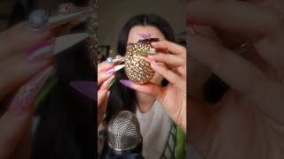 i bedazzled an egg ✨🥚✨ asmr [upl. by Cindie]