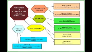 Criterios de clasificación [upl. by Atalya427]