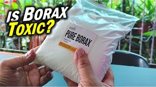 The Shocking Truth About BORAX Is It TOXIC or SAFE sodium tetraborate [upl. by Towill]