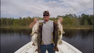 TOP 5 BIGGEST BASS EVER CAUGHT compilation [upl. by Indnahc262]