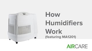 How Humidifiers Work featuring MA1201 [upl. by Harp]