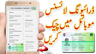 how to check driving licence pakistani online [upl. by Bathsheb439]