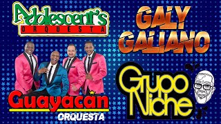 SALSA QUE HIZO HISTORIA MIX  GRUPO NICHE GUAYACAN ADOLESENTES GALY GALIANO  SALSA MIX 2021 [upl. by Sekofski]