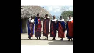 Maasai Dance  Amazing Traditional Maasai Singing amp Dancing [upl. by Anitnatsnoc]