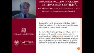 Fisiologia del sistema riproduttivo femminile [upl. by Eliath]