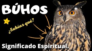 Significado espiritual y curiosidades fascinantes de los Búhos [upl. by Annaiek]