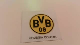 Borussia Dortmund Goal song [upl. by Spitzer101]