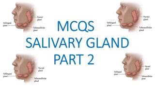 MCQS SALIVARY GLAND PART 2 [upl. by Sakiv]