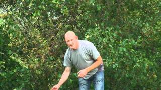 Fishing and feeding groundbait for carp bream roach and tench [upl. by Mandel]