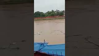 MARIKINA RIVER UPDATE SA GANAP NA 1307H SEPTEMBER 02 2024 [upl. by Erdnoid]