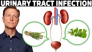 1 Best Remedy for a UTI Urinary Tract Infection [upl. by Eilama]