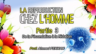 LA REPRODUCTION CHEZ LHOMME  PARTIE 3  De la Fécondation à la Nidation  Prof Ahmed FEKKAK [upl. by Salvadore820]