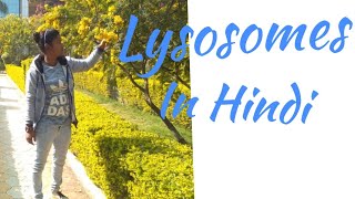 Lysosomes in Hindi [upl. by Yarled]