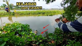 Aneh Saat mancing disungai ini Padahal disini gak banjir malah panen ikan masnila sebanyak ini [upl. by Eeryn715]