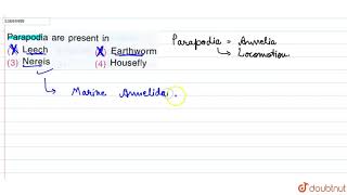 Parapodia are present in [upl. by Andromeda]