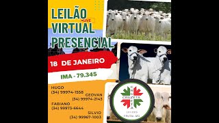 LEILÃO Virtual e Presencial da Cruzeta Leilões  Frutal  MG  Dia 18012024 [upl. by Lindo]